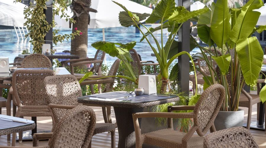 Tui Blue Belek ( Adults Only +16)